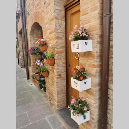 Casina Luce
